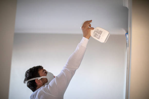 Best Office Mold Removal Services  in Costa Mesa, CA