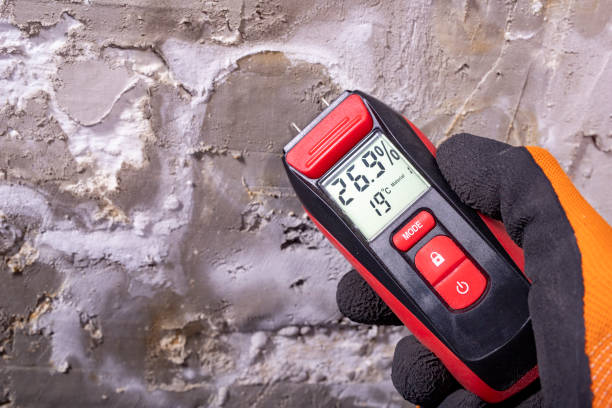 Best Certified Mold Removal  in Costa Mesa, CA