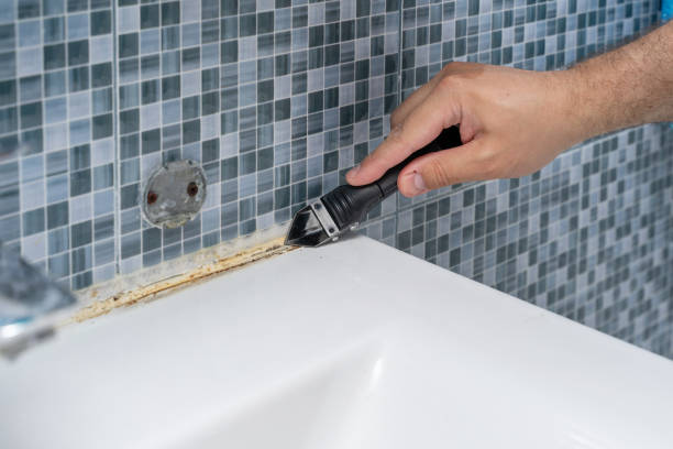 Best Professional Mold Removal  in Costa Mesa, CA